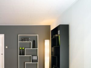 Wand en plafondplaten